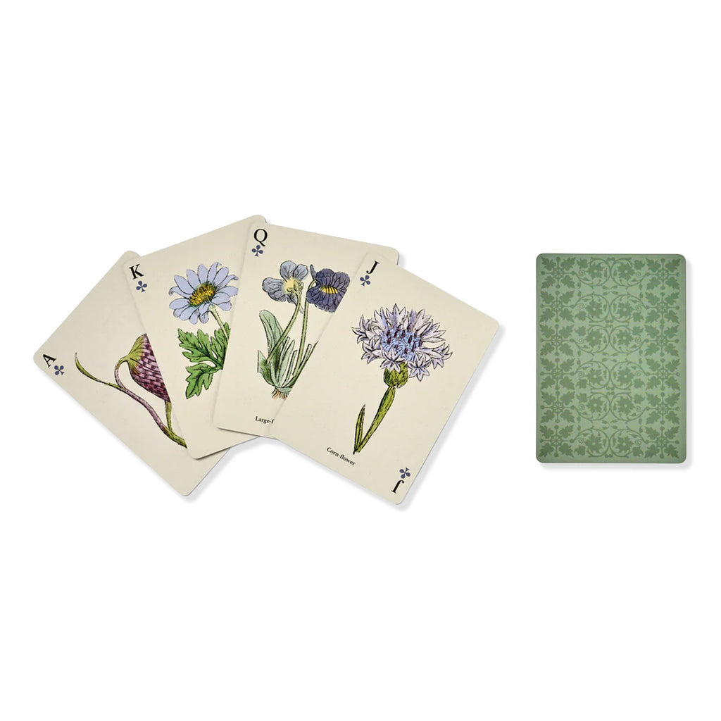 Spread of four playing cards with wildflower illustrations and reverse card design of green florals on a white background.
