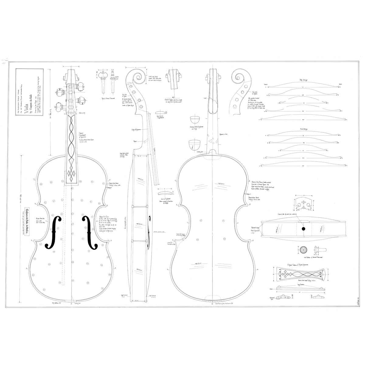 12 Viola By Gaspara Da Salo Print Ashmolean Museum 12-viola-by-gaspara-da-salo-print-ashmolean-museum