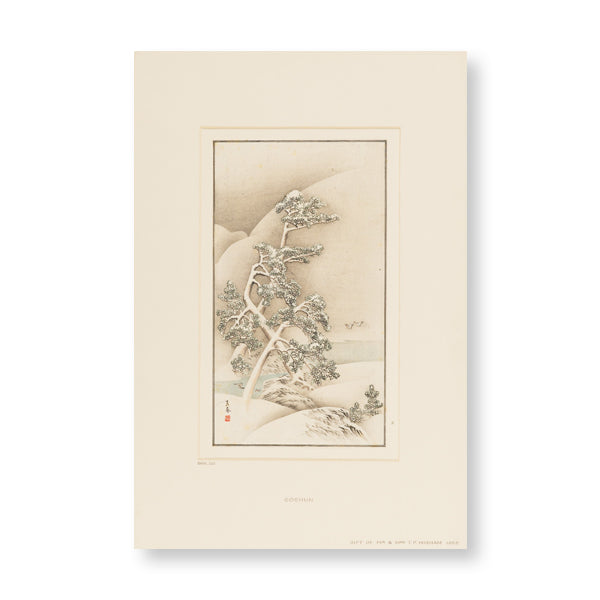 Ashmolean Pine Trees In Snow Christmas Cards